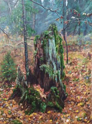 ������� �������