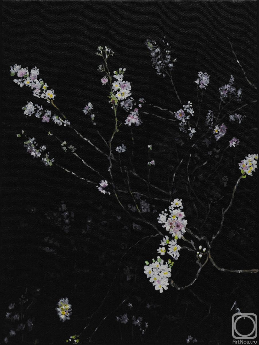 �������. ������� ��������. �������� � ������. �����