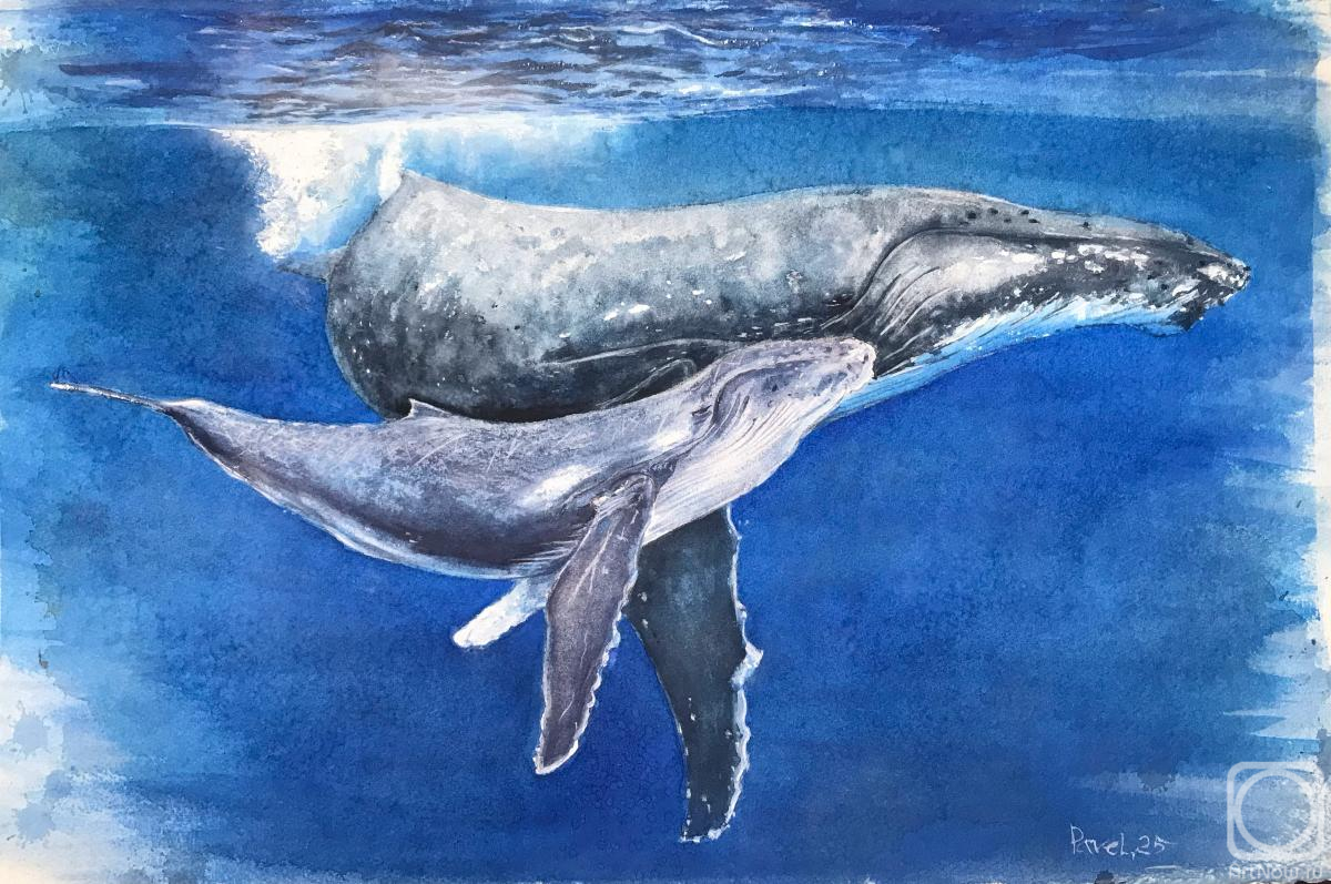 �������. ������ �����. �������