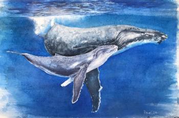 �������