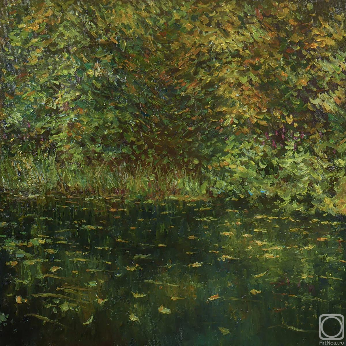 ������� ������ �� ������. �������� �������. ������� ������