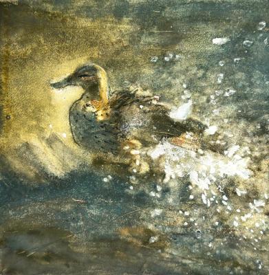 ������� ����������� SPA�