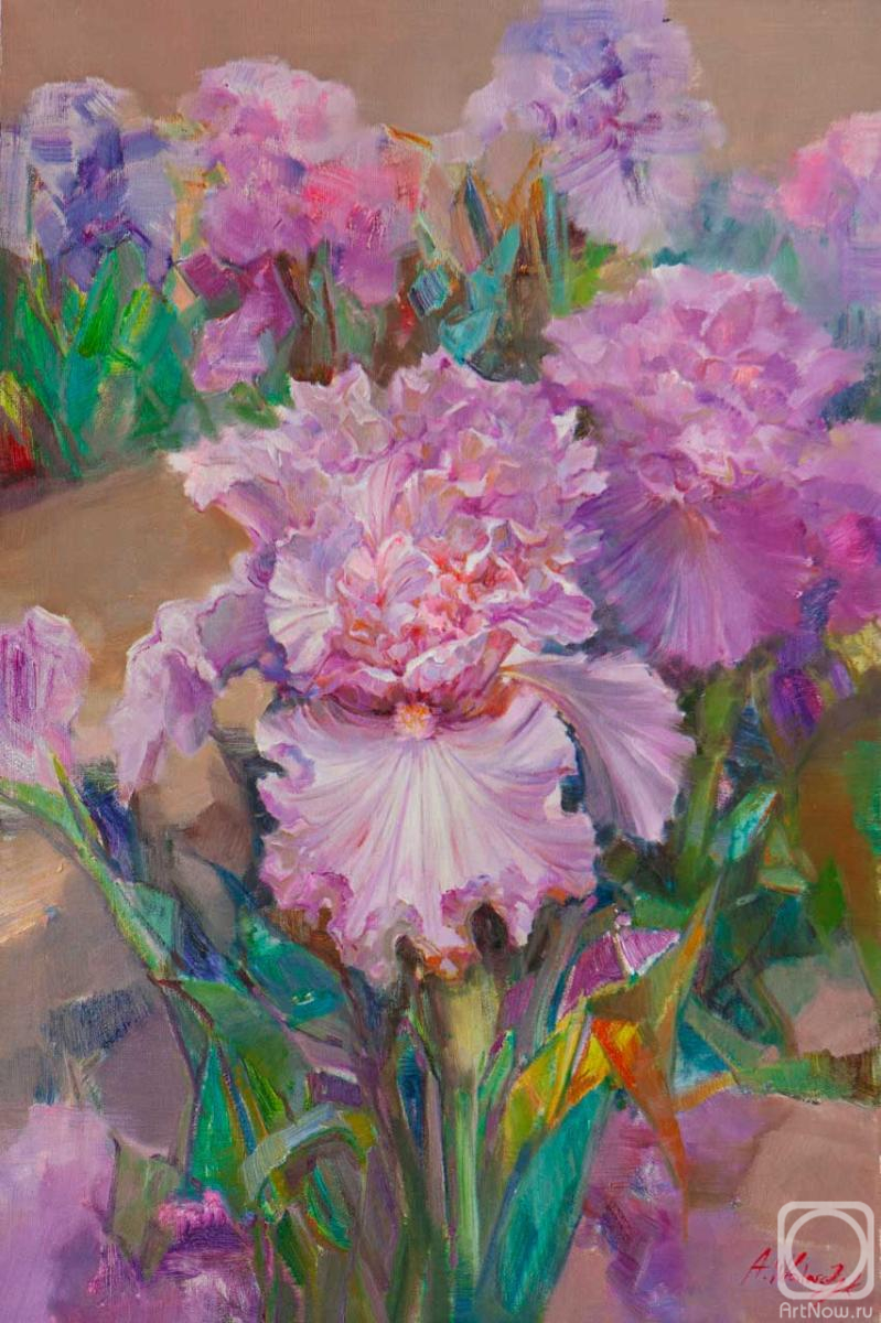 ������� ������ �� ������. ��������� ������. �����. ������ ����