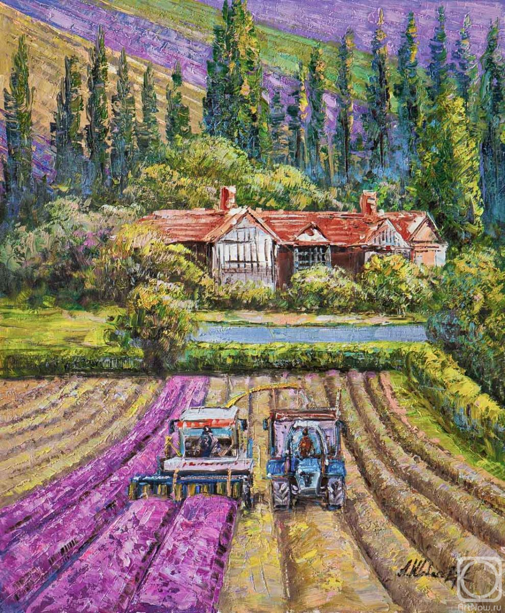 ������� ������ �� ������. ��������� ������. ���� �������