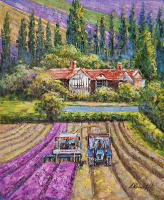 ���� ������� (���� �������). ��������� ������