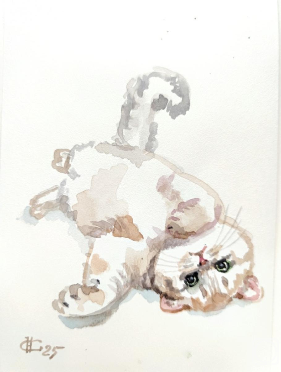 �������. ������ �������. �������