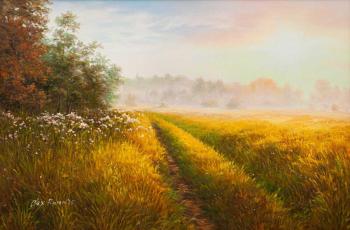 A road runs along the fields. Romm Alexandr