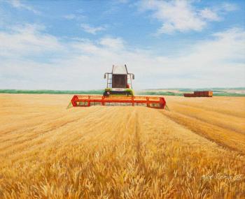 The gold of the wheat fields. Romm Alexandr