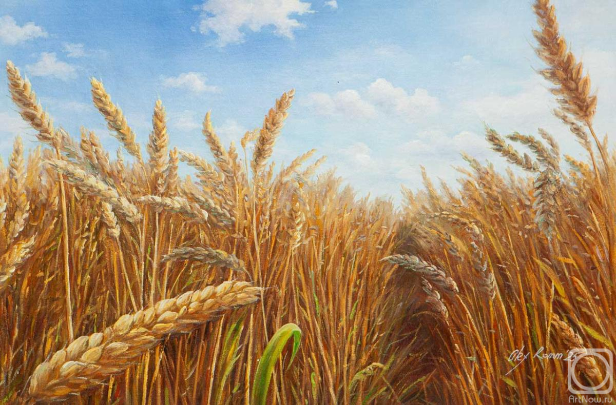 Romm Alexandr. Wheat field