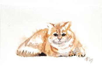 ����� ��� (�������� � ���������). ������ �������