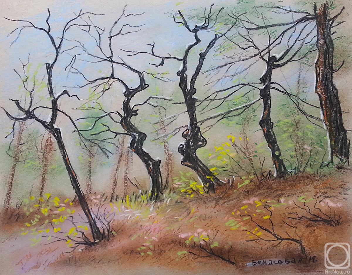 �������. �������� �������. ��������� �������