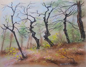 ��������� ������� (�����). �������� �������