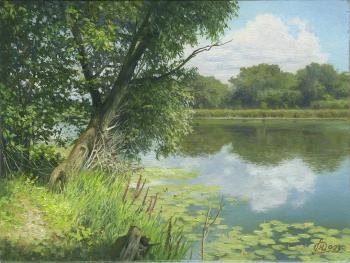 ������ ���� � ����. �������� �����