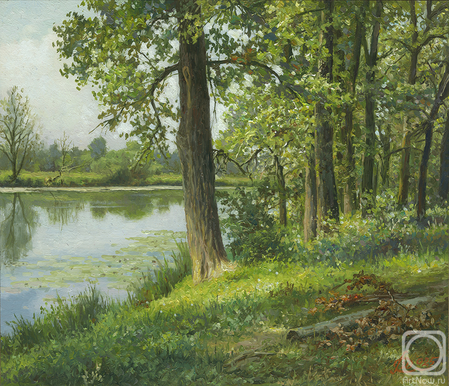 �������. �������� �����. � ������� �����