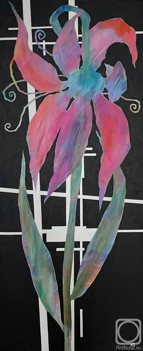 �������. ��� ���������. ���� (Vita)