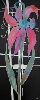 ���� (Vita). ��� ���������