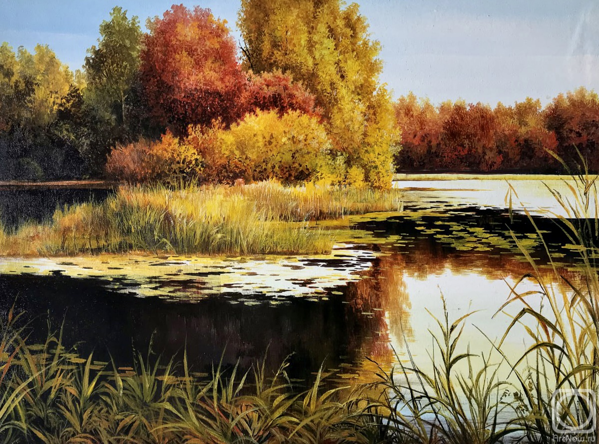 ������� ������ �� ������. �������� ��������. ������� ������� �� ����