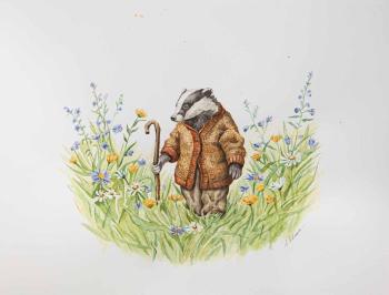 ������ ����. �������� �������. �������� ����