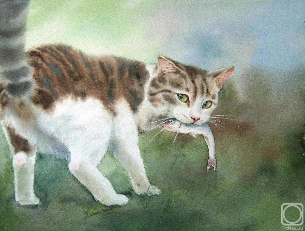 �������. ������� �����. ���-�����