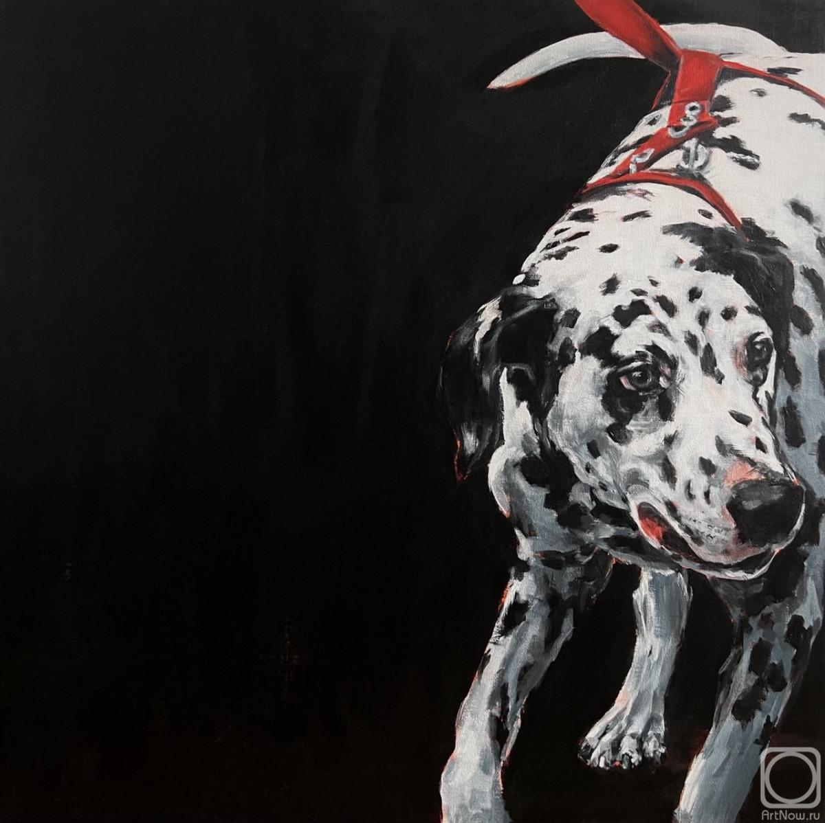 �������. �������� ��������. ���������� �� ������ ����