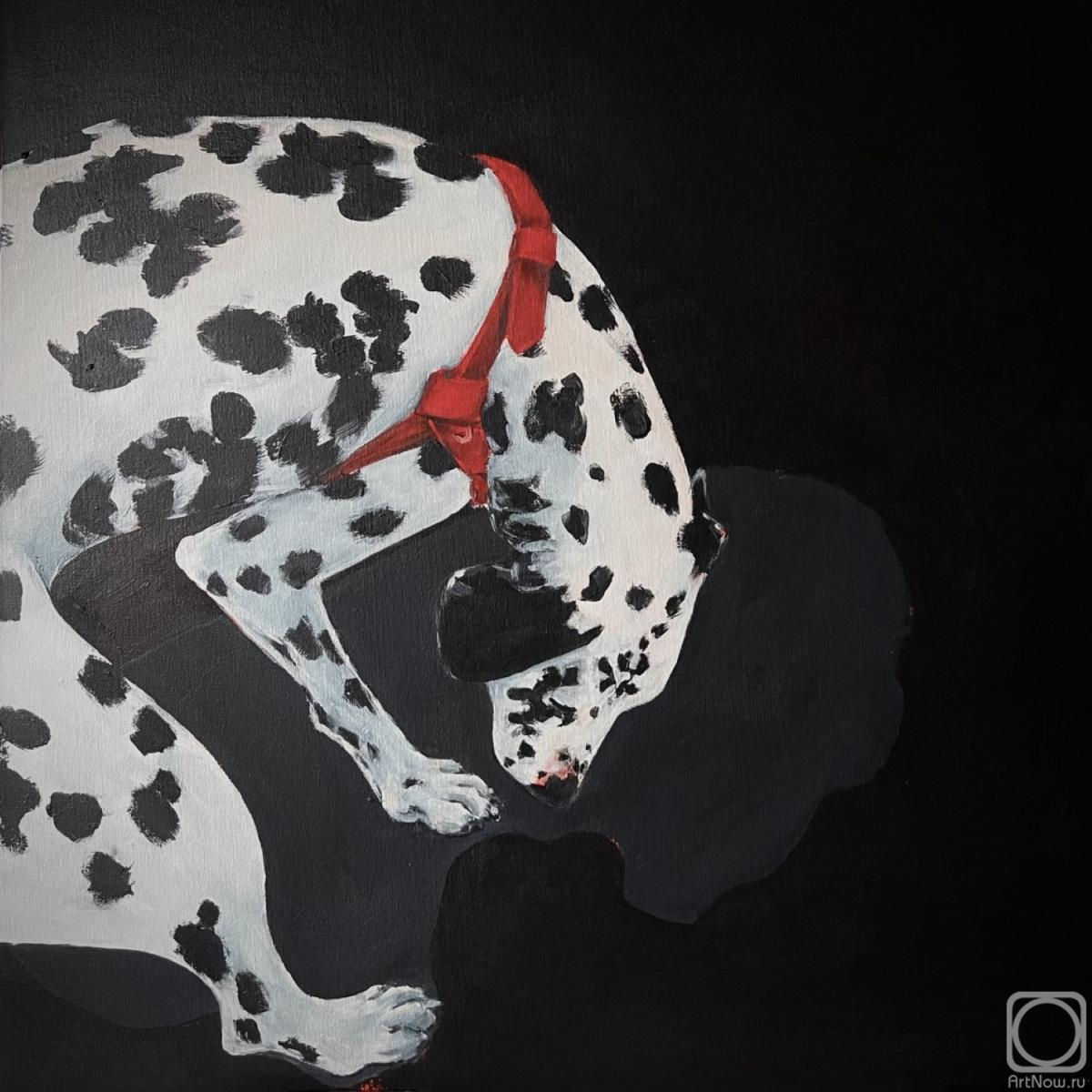 �������. �������� ��������. ���������� � ������� ������ �� ������ ����