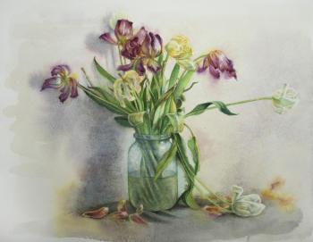 ������� ����������