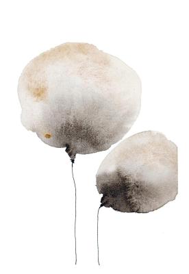 ��� ���� (����������). ����������� �������