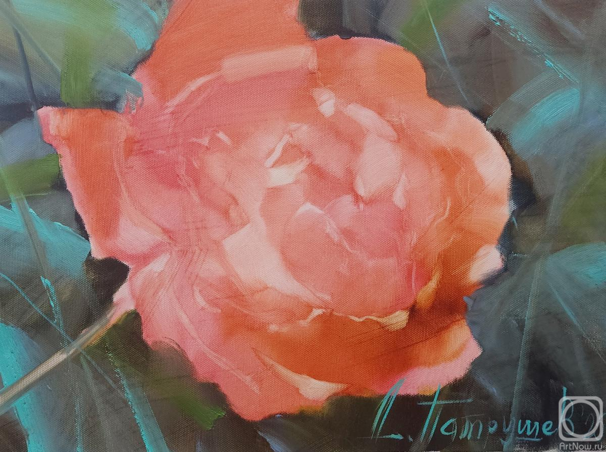 ������� ������ �� ������. �������� �������. ����