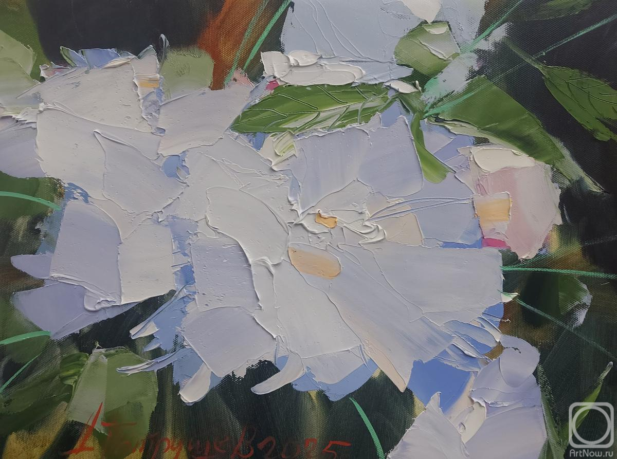 ������� ������ �� ������. �������� �������. �������� ����