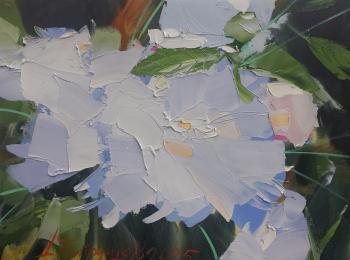 ������� ��������� �����