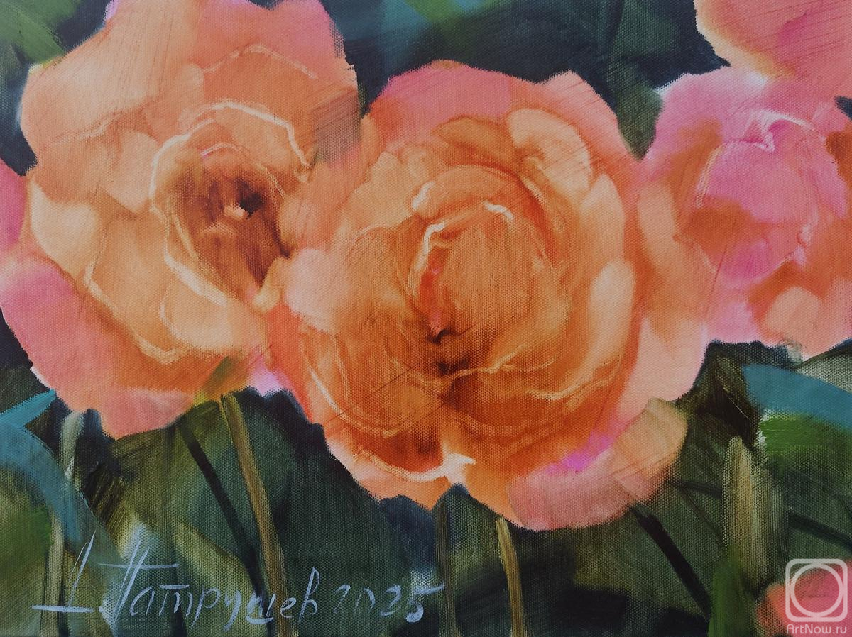 ������� ������ �� ������. �������� �������. ����������� ����