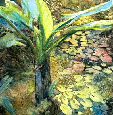 ������� �������� � ������������ ����