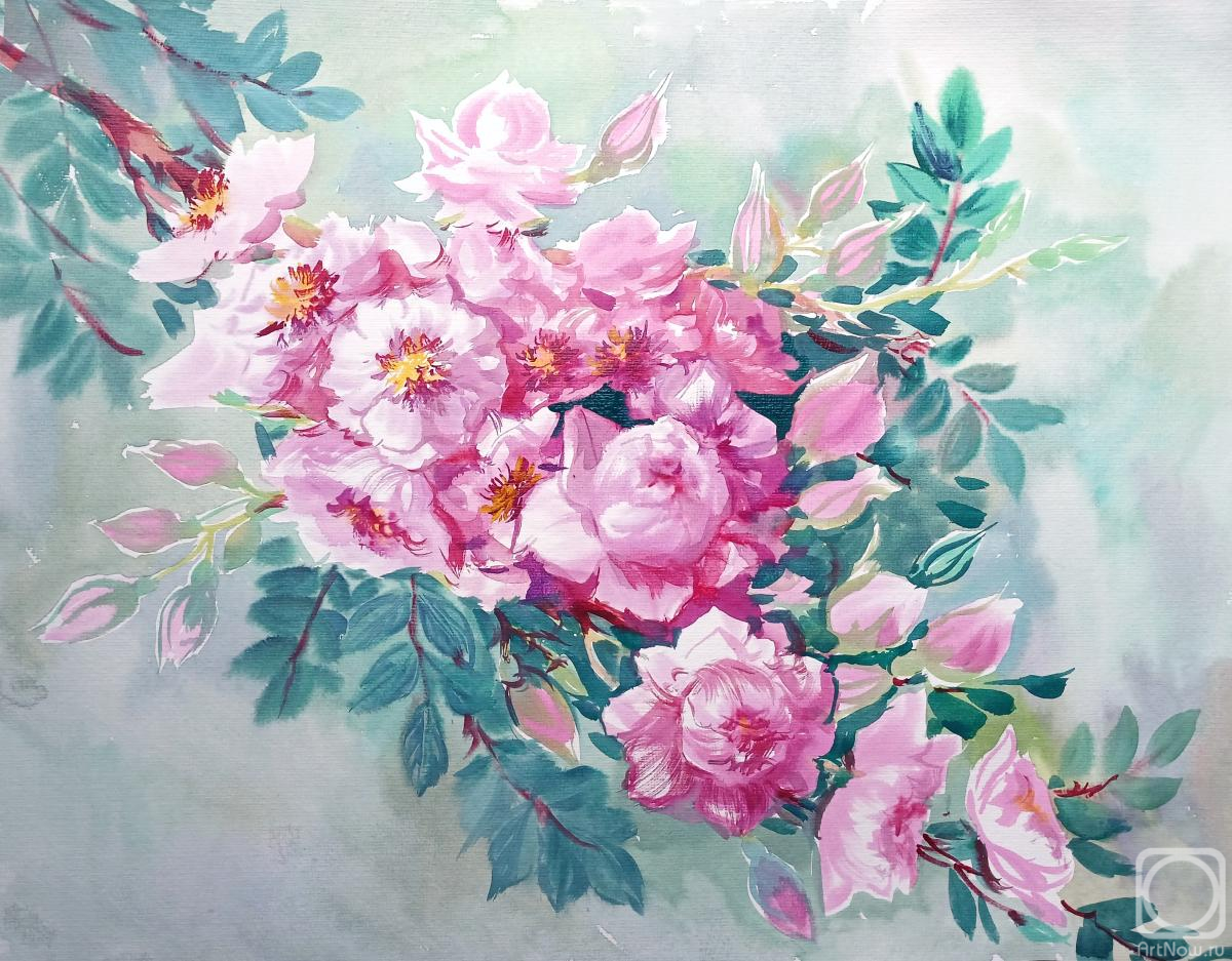 �������. ���������� ���������. ����