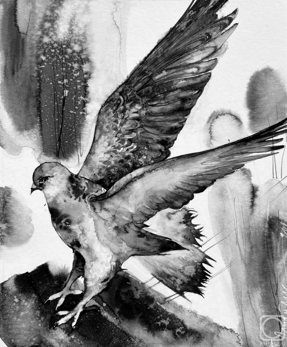 �������. ������� �������. ������ �� �����