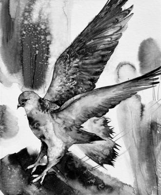 ������ �� �����. ������� �������