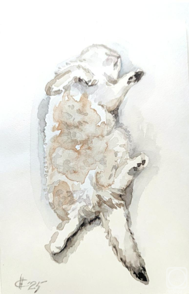 Sukhova Natalya. Untitled