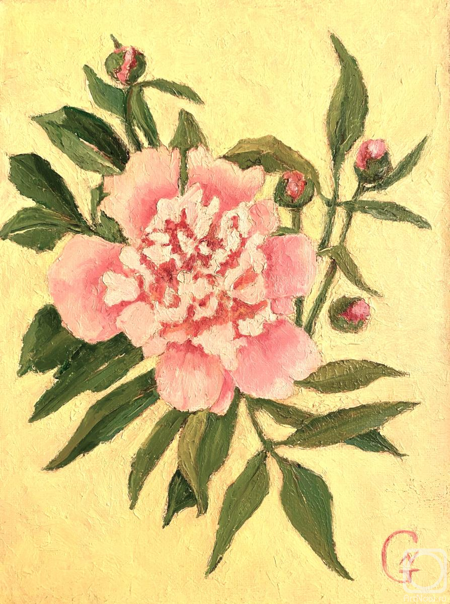 ������� ������ �� ������. ���������� �������. ����