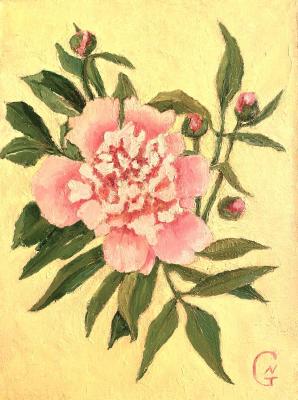 Peony. Gerasimova Natalia