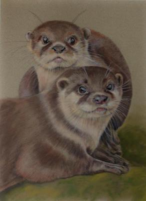 ������ �����. ������� ������