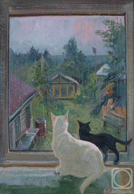 �������. �������� ������. ������ ����� � �����������