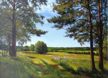 ������� �113 � ���� ������ ������