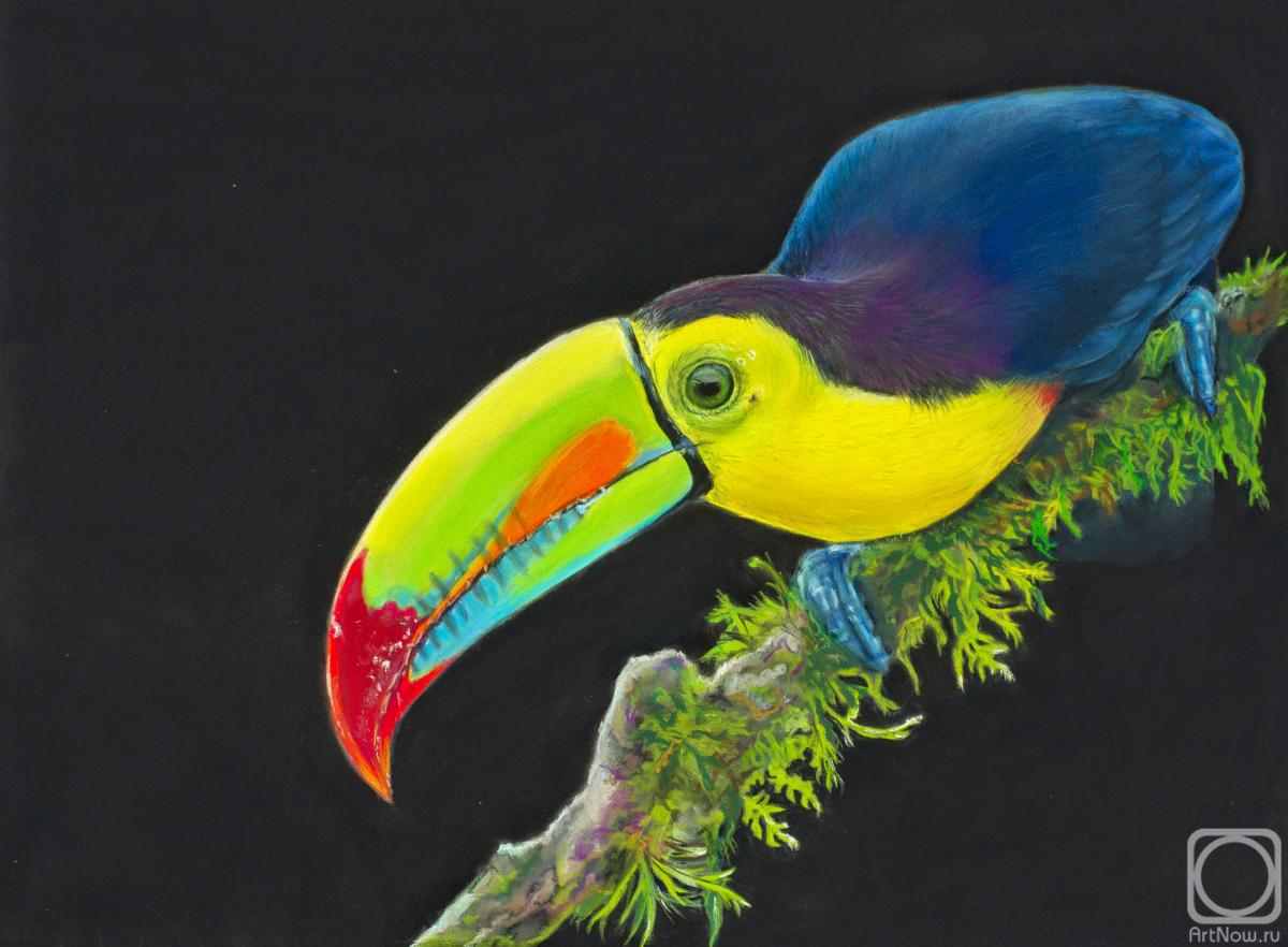 �������. ������� ������. �������� �����