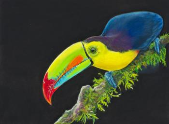 �������� �����. ������� ������