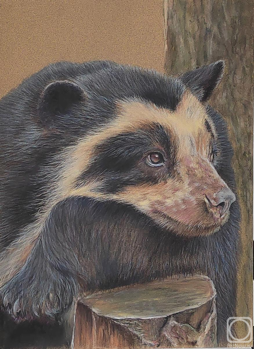 �������. ������� ������. ������� ������� �������