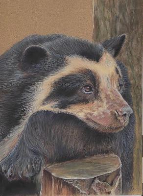 ������� ������� �������. ������� ������