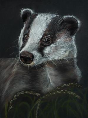 ������. ������� ������