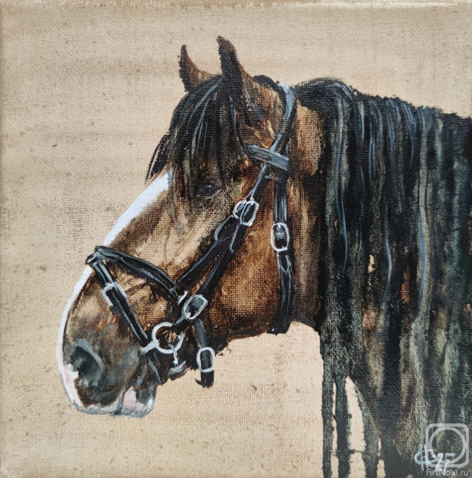 ������� ������ �� ������. ������ �������. ����. ������� ����. �����