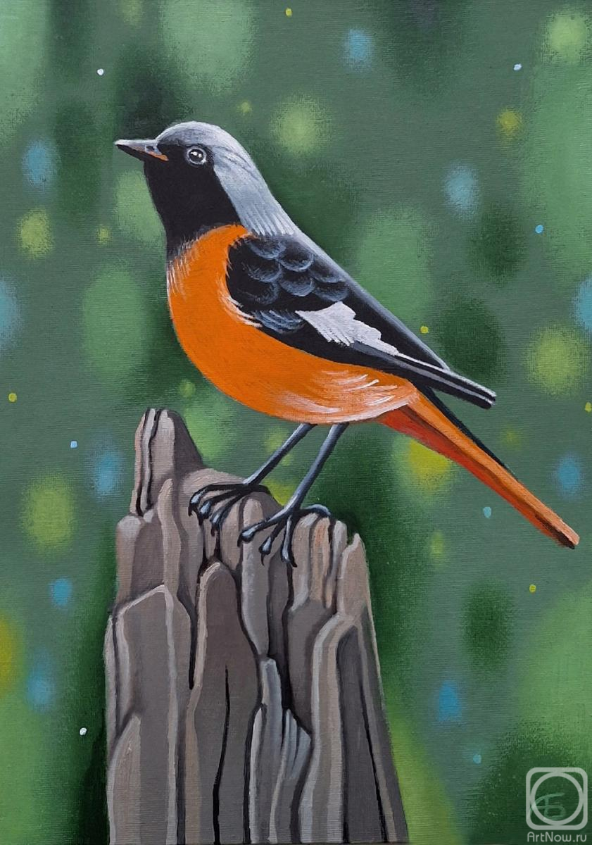 ������� ������ �� ������. ������ ���. ��������� �����������