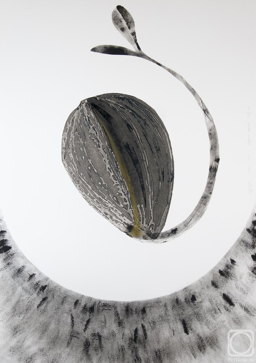 �������. ������� �����. �������