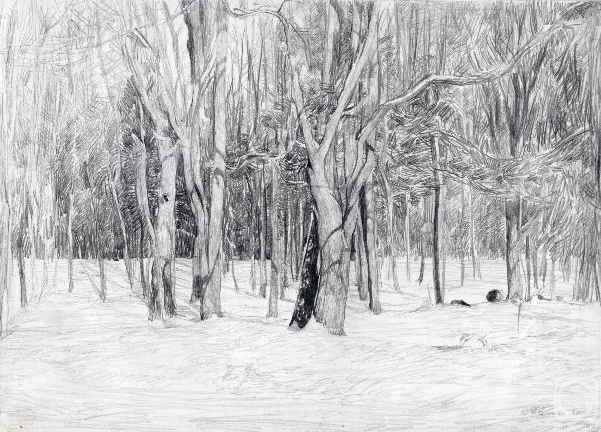 Kozhin Simon. Winter day